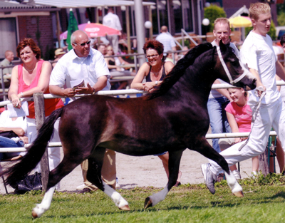 Joni